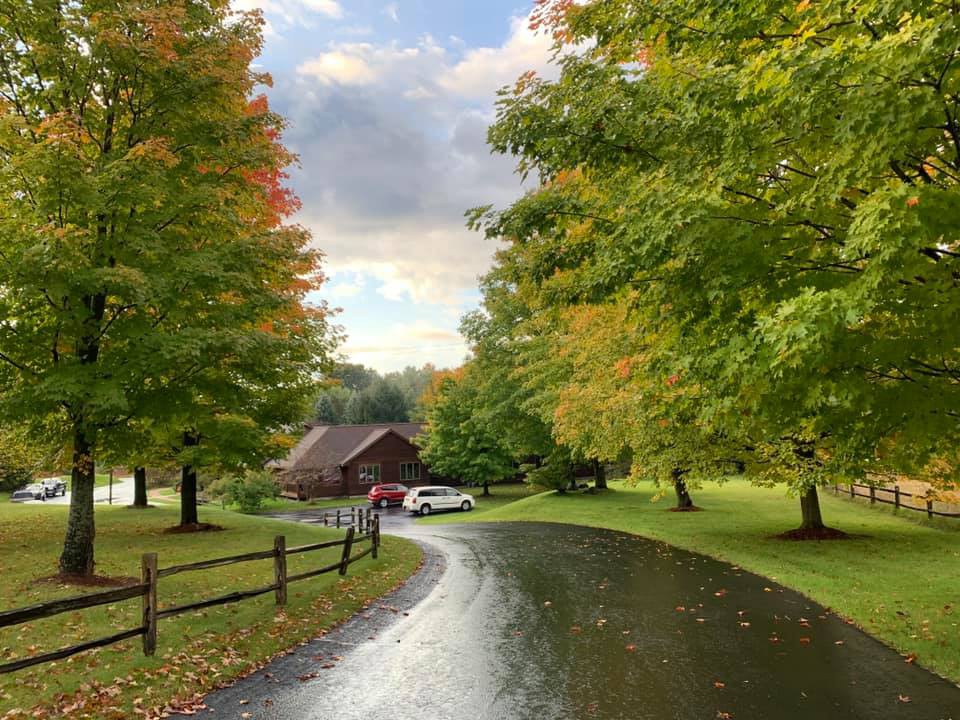 The Homesteader