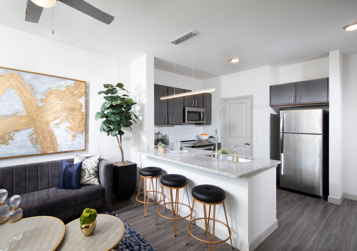 A contemporary open-plan kitchen and living area with modern decor and appliances.