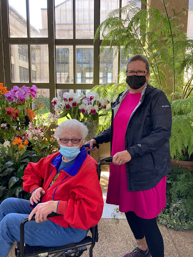A caregiver assisting an elderly person in a wheelchair surrounded by vibrant flowers.
