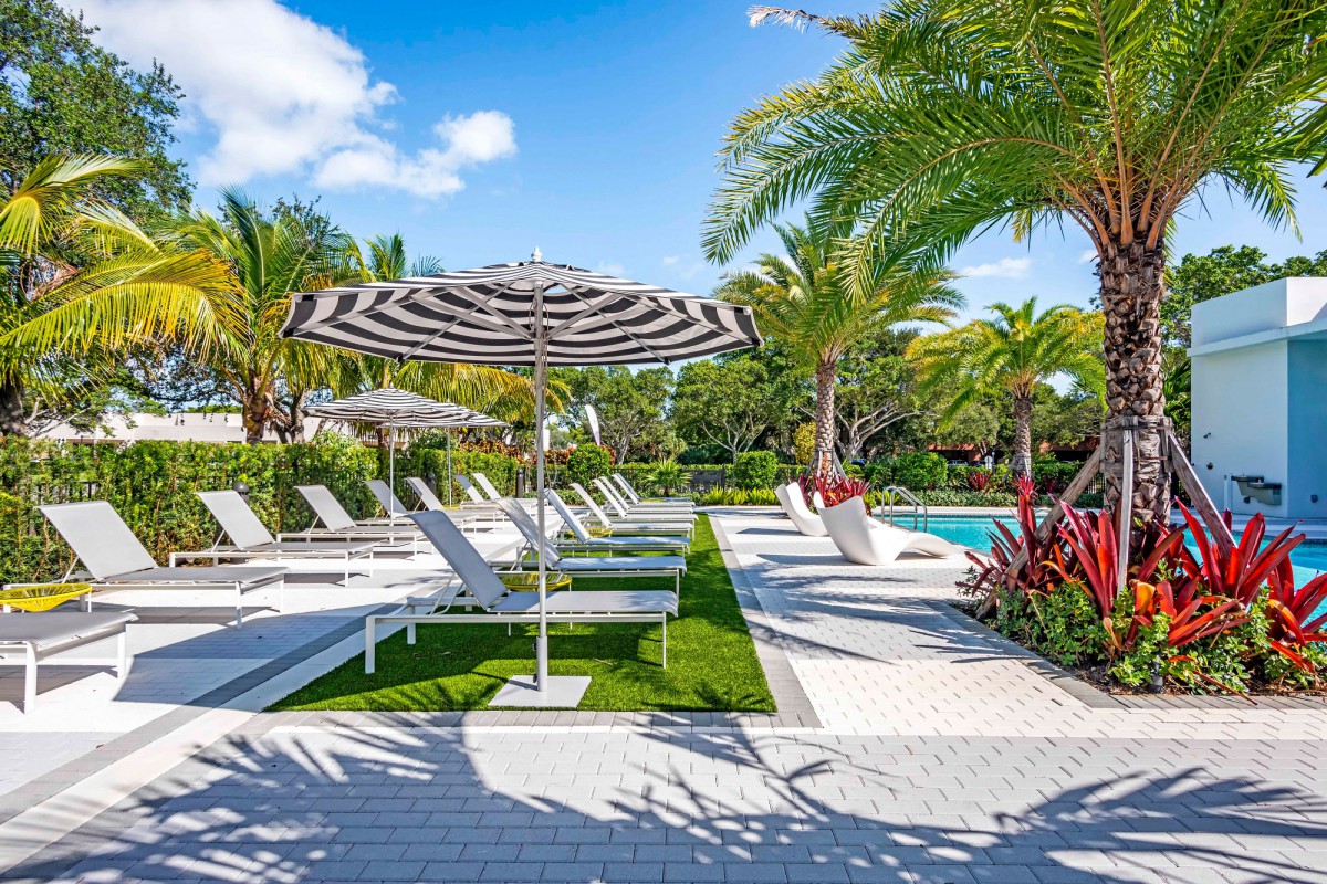 A serene tropical poolside setting with loungers, umbrellas, and lush palm trees.