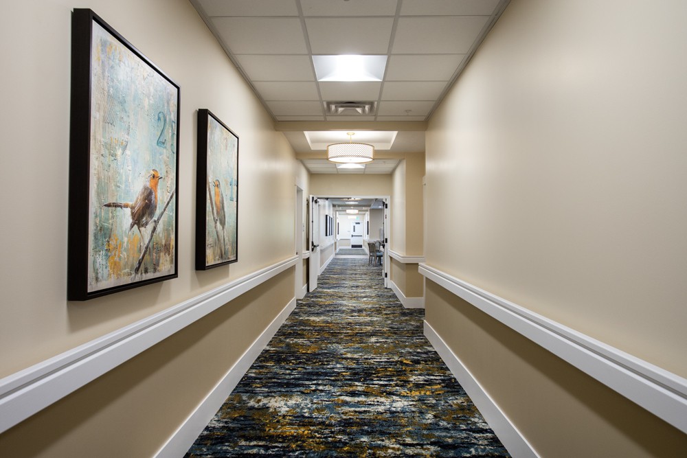 A well-lit hotel hallway with artwork and patterned carpet.
