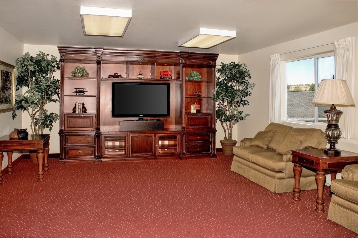 A cozy living room featuring a wooden entertainment center with a television and bookshelves, an armchair, and a potted plant.