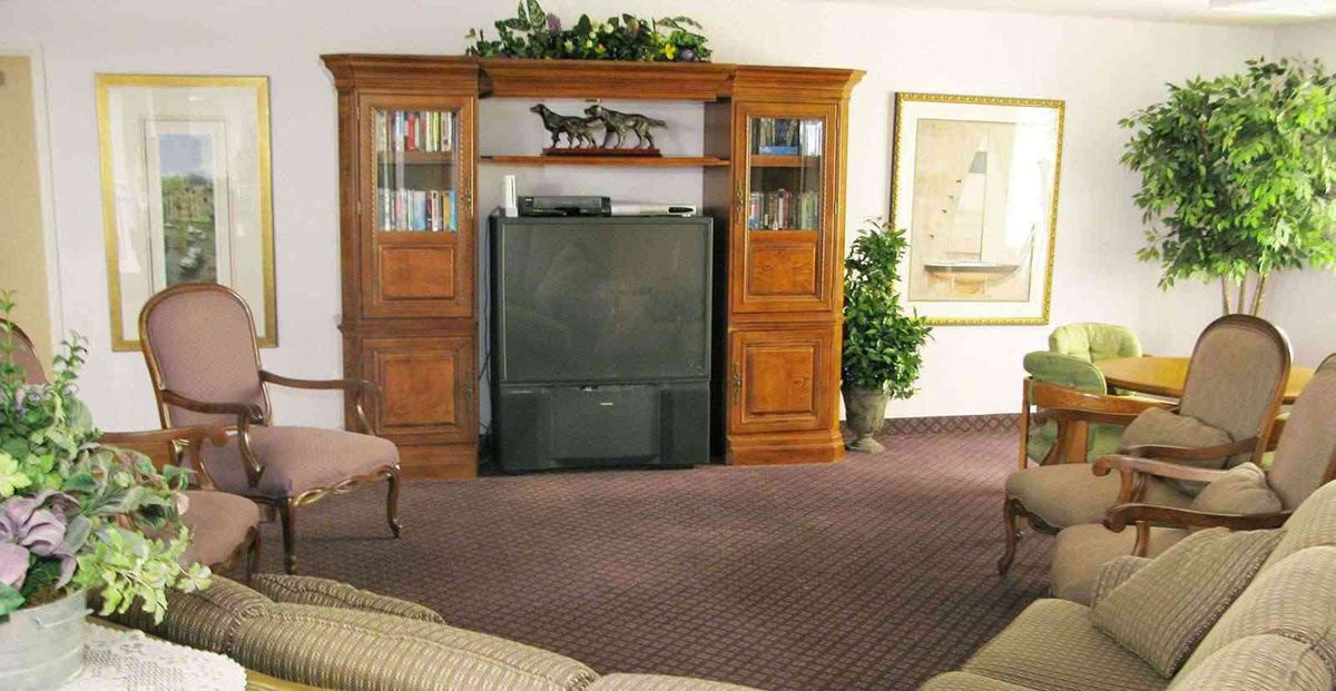 A cozy living room featuring an entertainment center with a large TV, wooden cabinets, and decorative elements including an indoor plant.