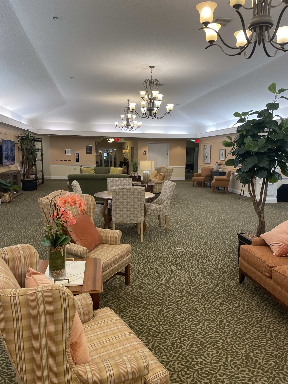 A cozy lounge with comfortable seating and elegant decor, featuring a chandelier and indoor plants.