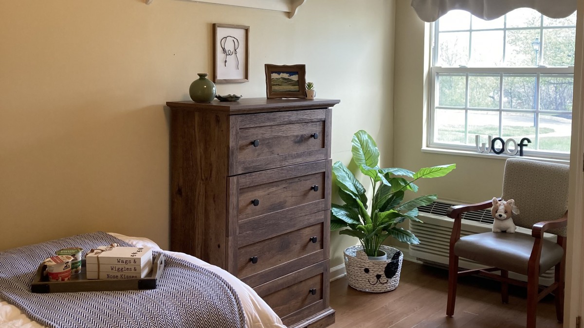 A cozy bedroom corner featuring a wooden dresser, indoor plant, and natural light streaming through the window.