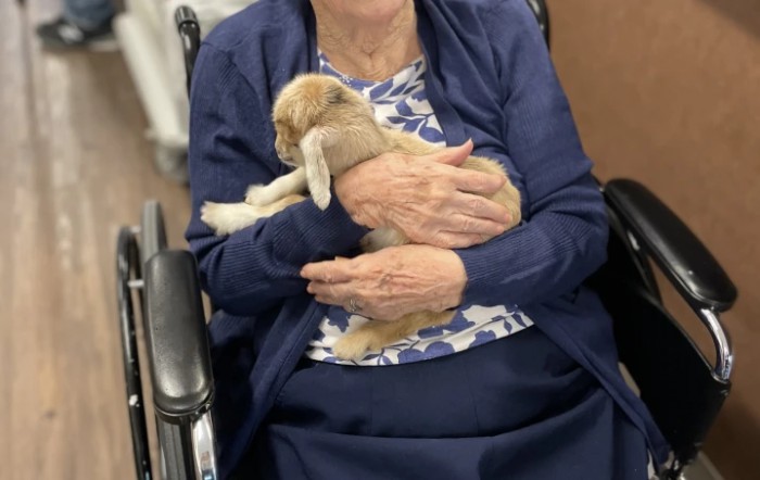 An elderly person in a wheelchair gently cradling a rabbit.