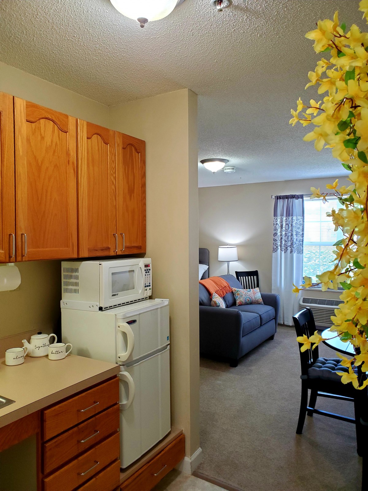 A cozy apartment interior with a small kitchen and a living area.