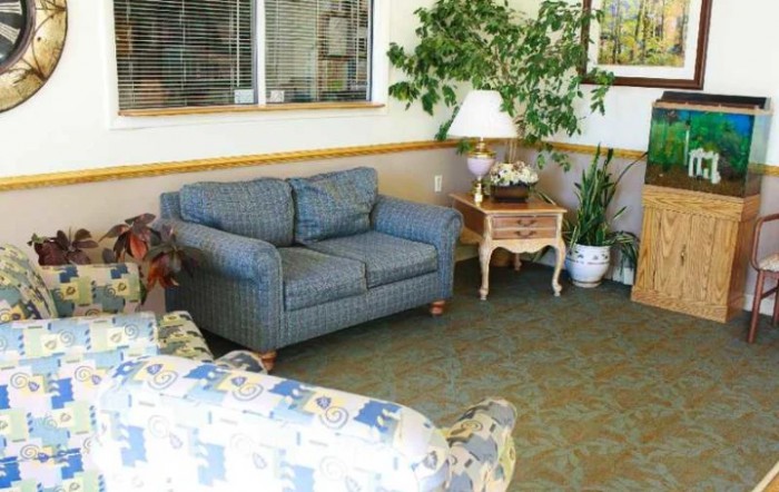 A cozy living room with a blue sofa, potted plants, and a side table with a lamp.