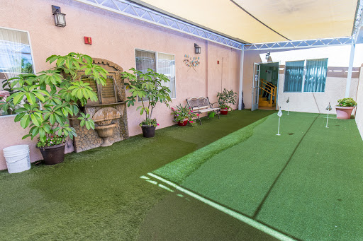 Windsor Terrace Health Care