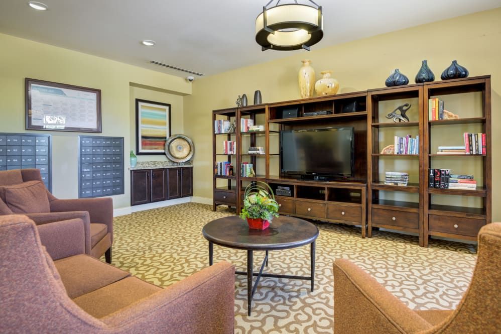 A cozy living room with a TV, bookshelves, and comfortable seating.