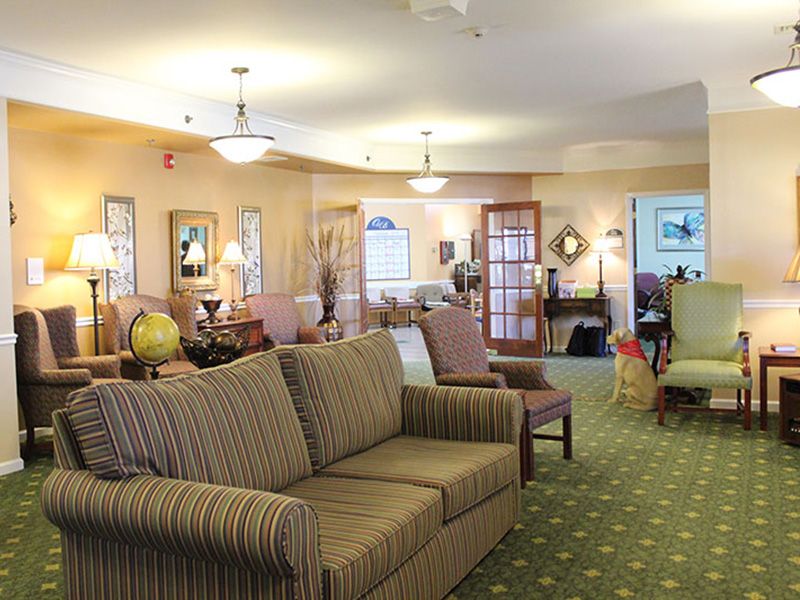 A cozy living room with sofas, lamps, and a carpeted floor.