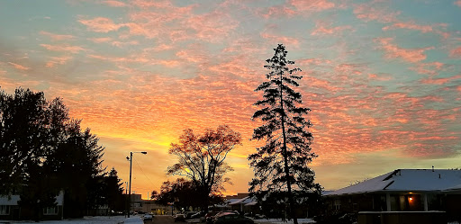 A beautiful sunset painting the sky in vibrant hues, silhouetted by trees.