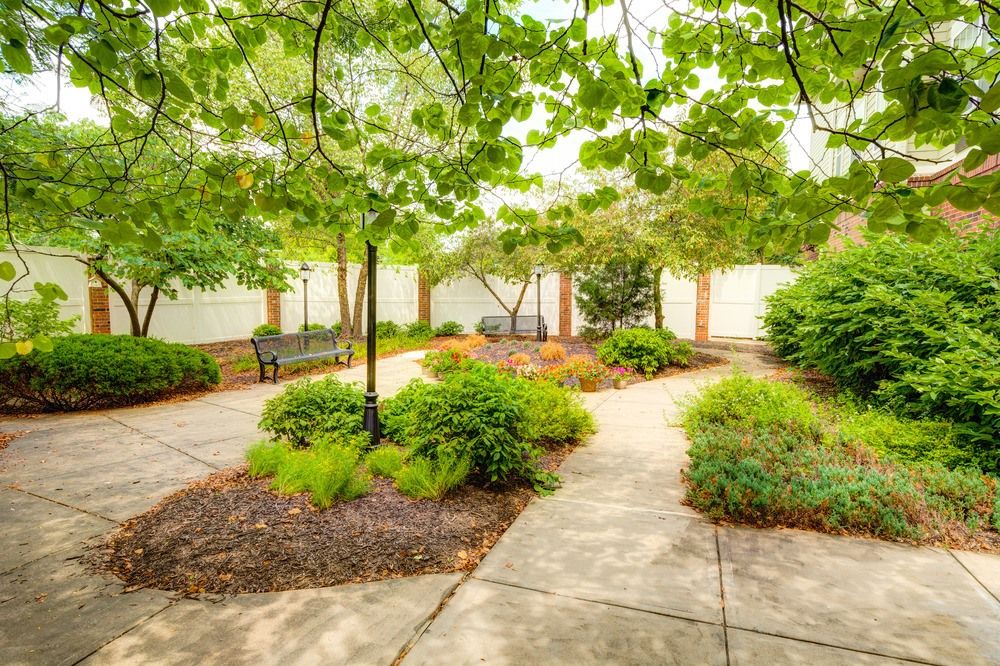 A serene garden with a pathway surrounded by lush greenery and benches.