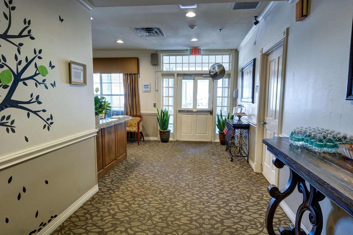 A well-lit hallway with carpeted flooring, decorated with plants and featuring large windows and doors.