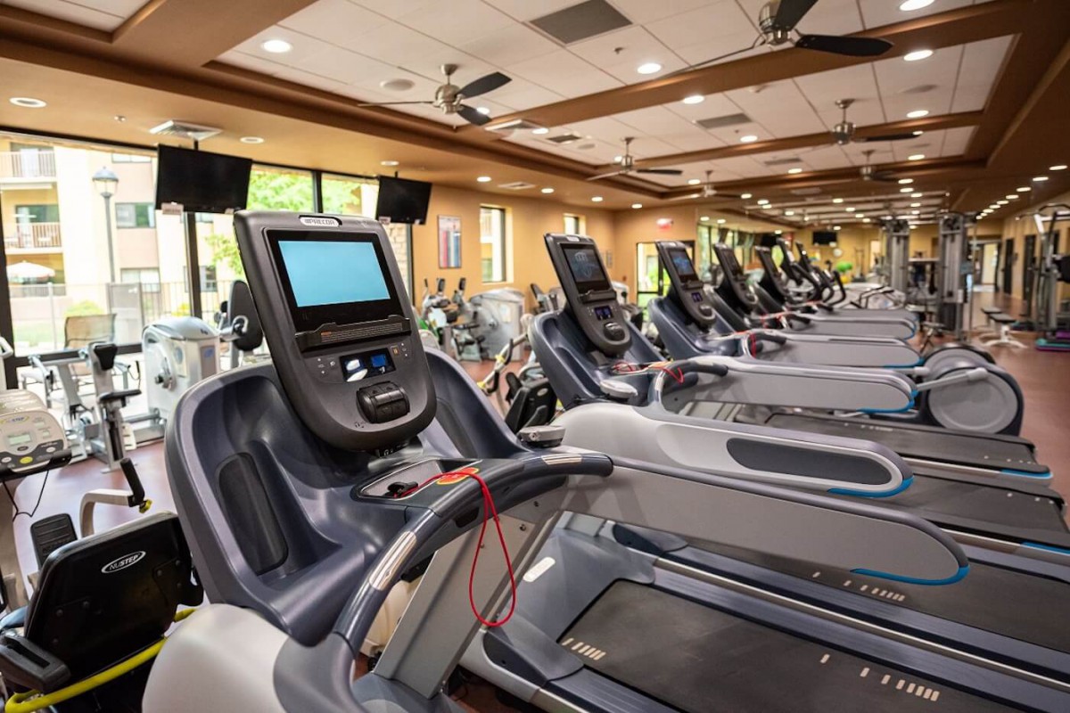 A modern gym equipped with multiple treadmills, ready for use.
