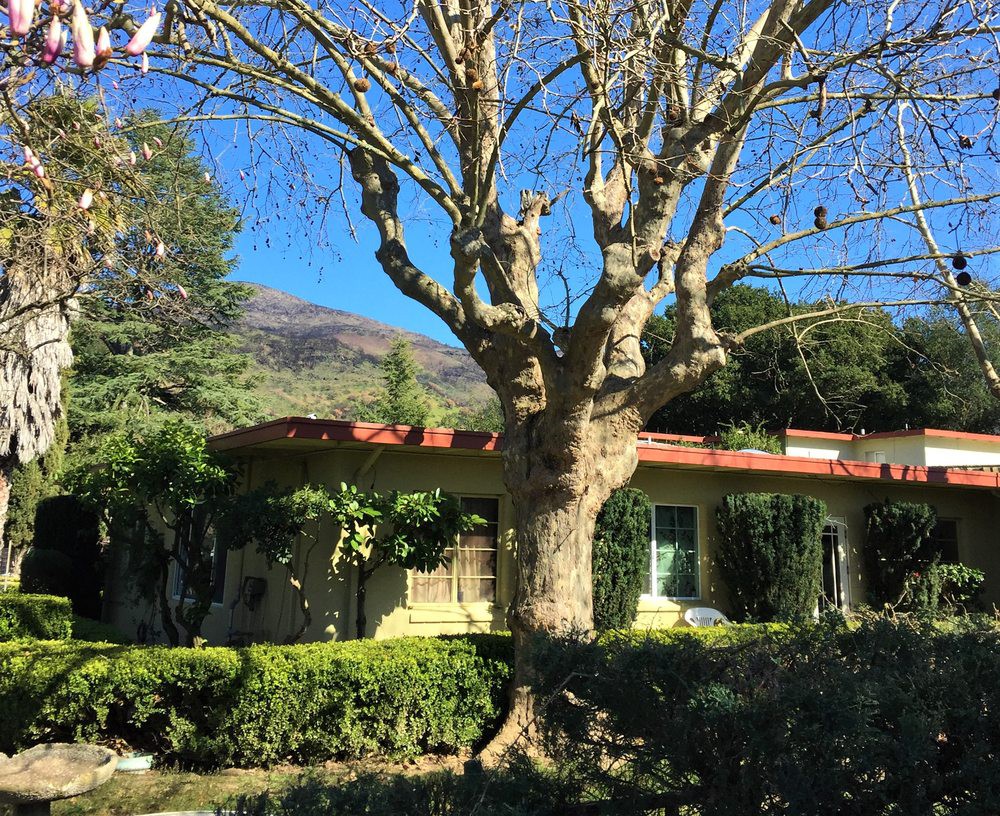 Country Inn
