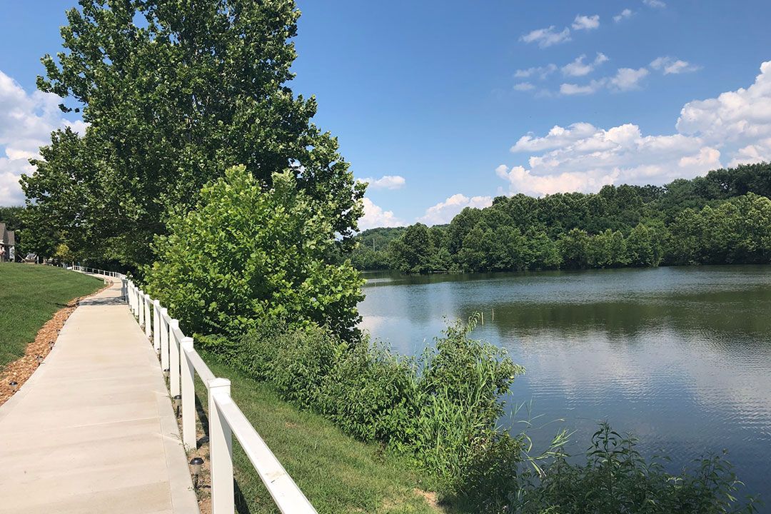 A scenic lakeside pathway flanked by lush green trees and a clear blue sky.