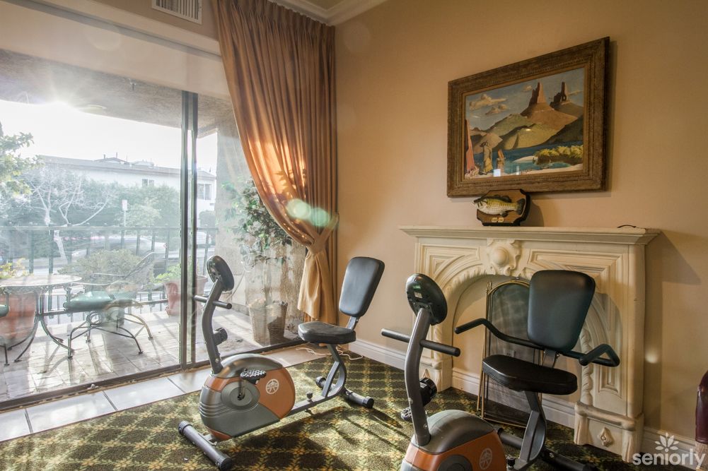 A luxurious home gym with stationary bikes, elegant decor, and a view of the outdoors.
