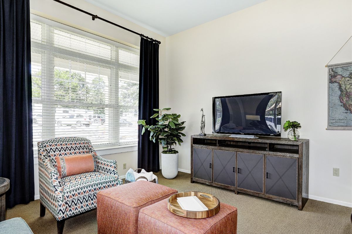 A cozy living room with a patterned chair, two ottomans, a TV on a console, and a potted plant beside the window.