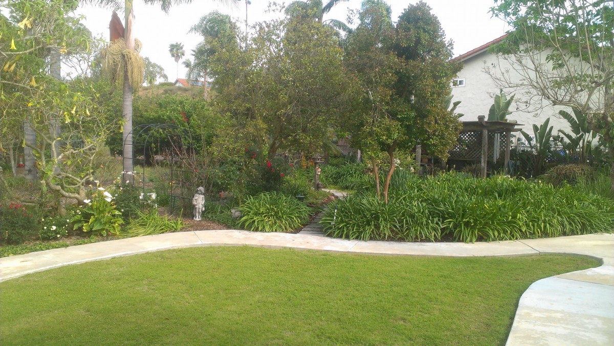 Avocado Gardens