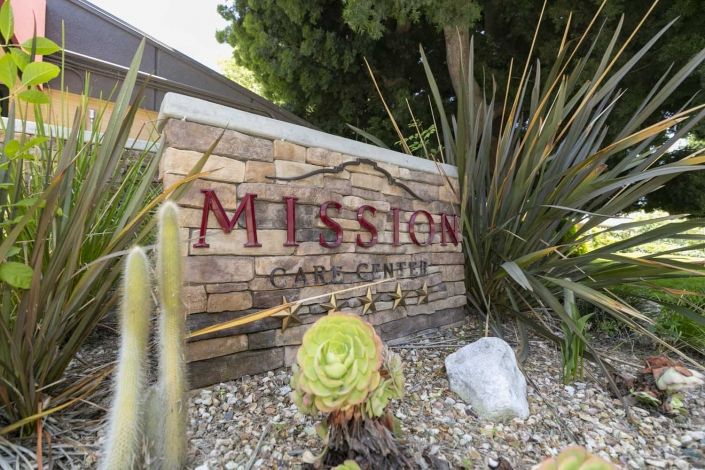 A decorative garden sign with succulents and a stone wall background.