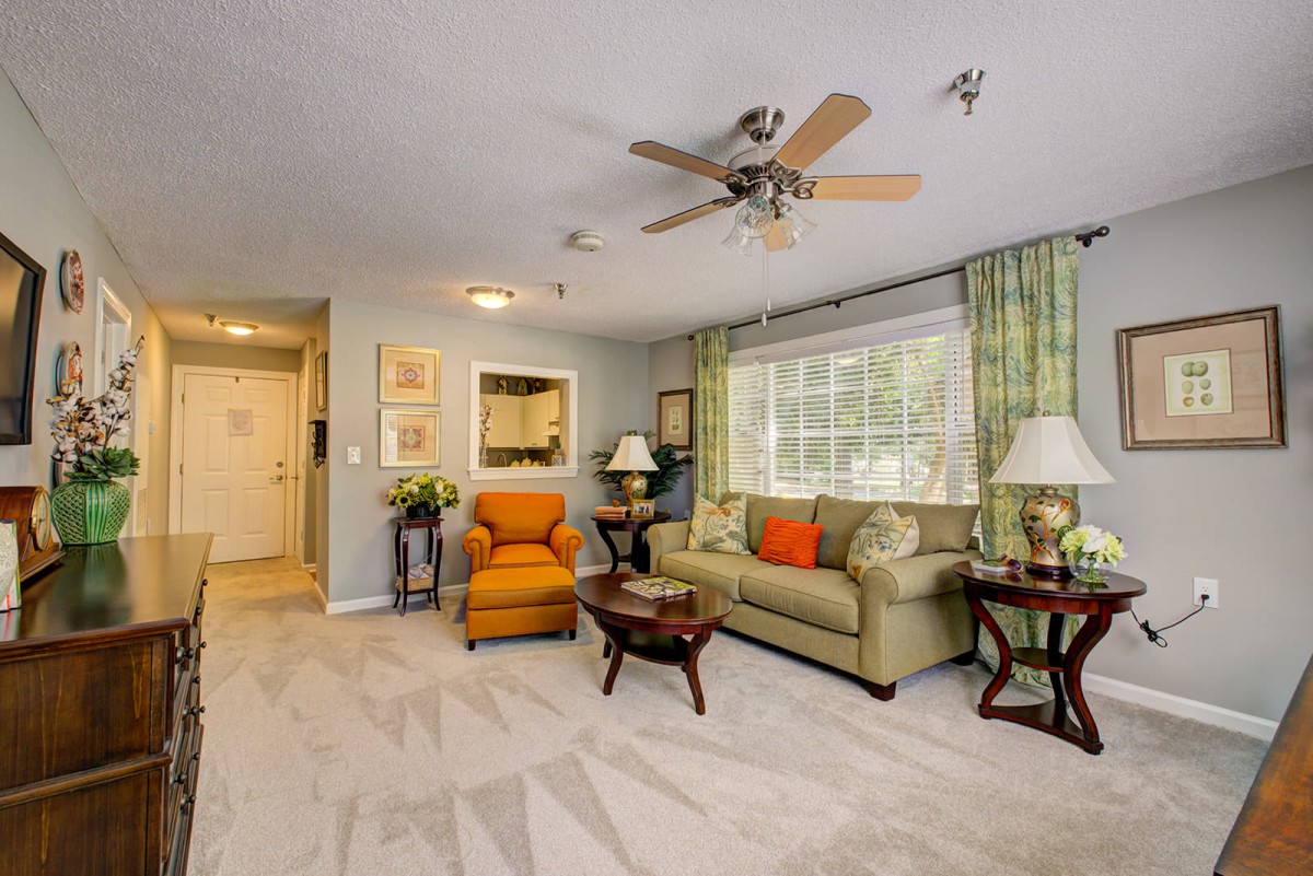 A cozy living room with comfortable seating, a coffee table, and decorative elements.
