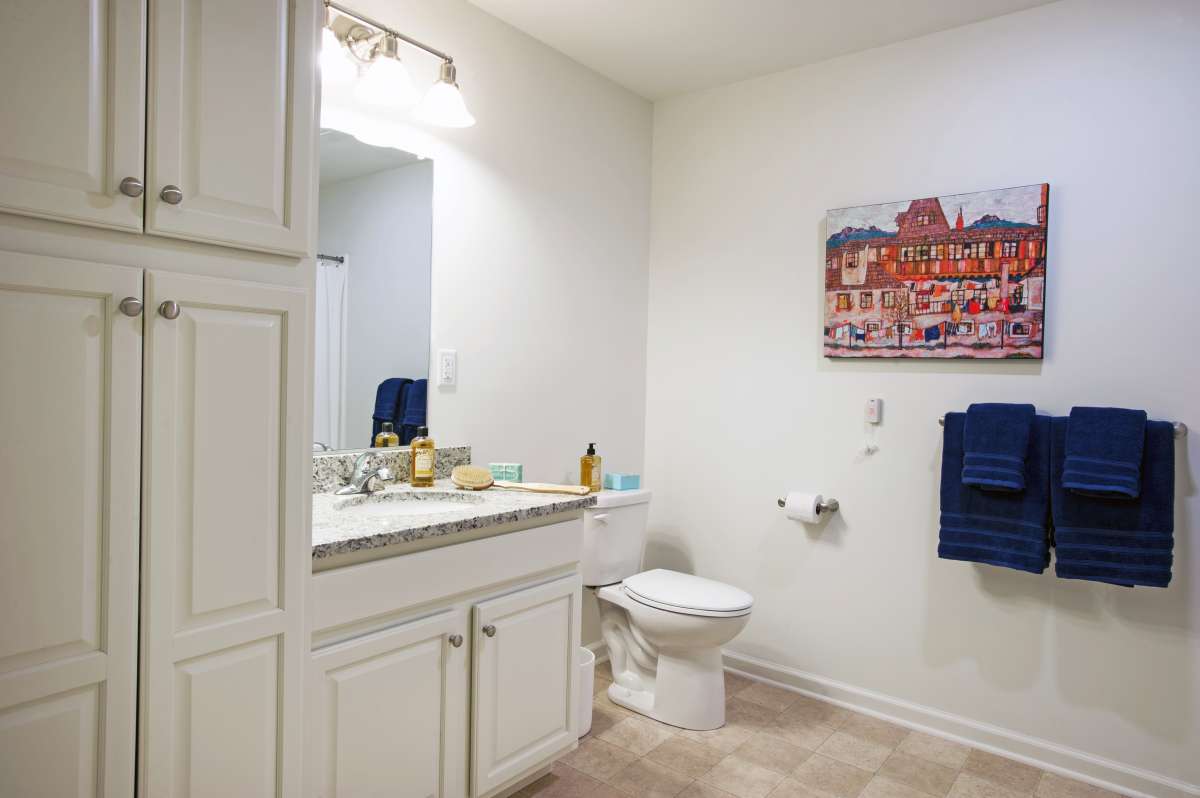 A well-lit bathroom with a sink, toilet, and decorative elements.