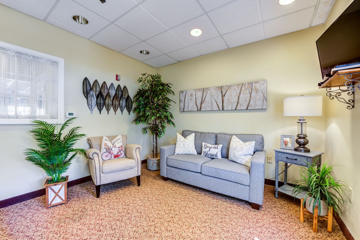 A cozy living room with a sofa, armchair, decorative plants, and artwork on the walls.