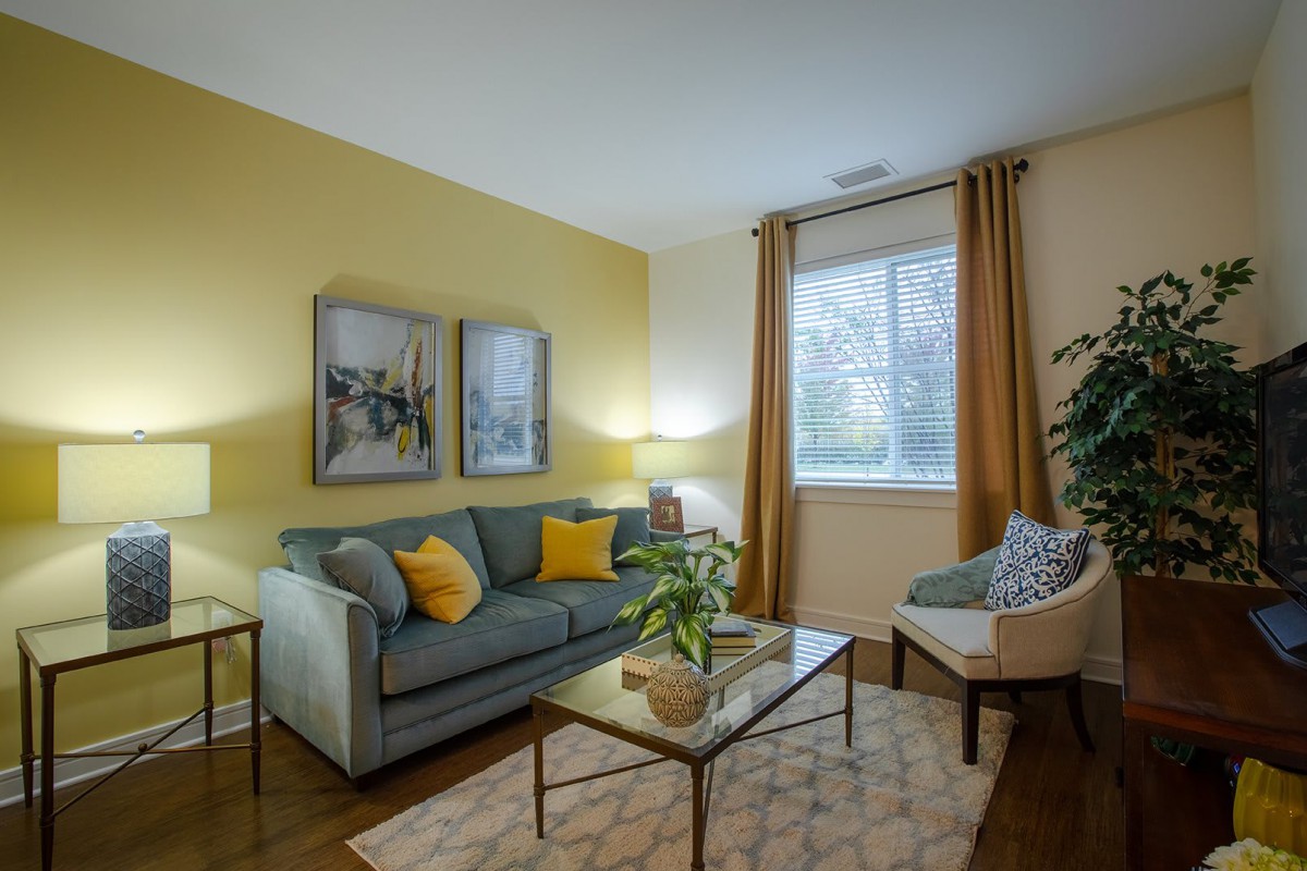 A cozy living room with a yellow accent wall, featuring a comfortable sofa adorned with decorative pillows, a sleek coffee table, and an indoor plant by the window.