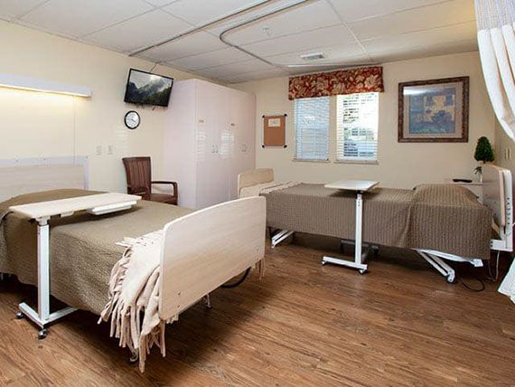 A clean hospital room with two patient beds, a TV, and a window.