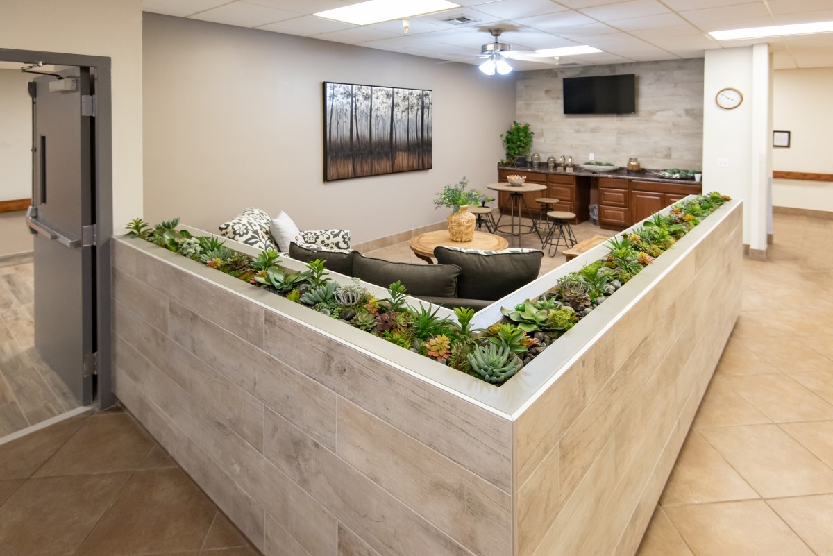 A modern office space featuring a seating area with succulents and wooden furniture.