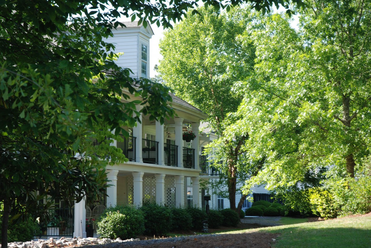 A charming house surrounded by lush trees and sunlight.