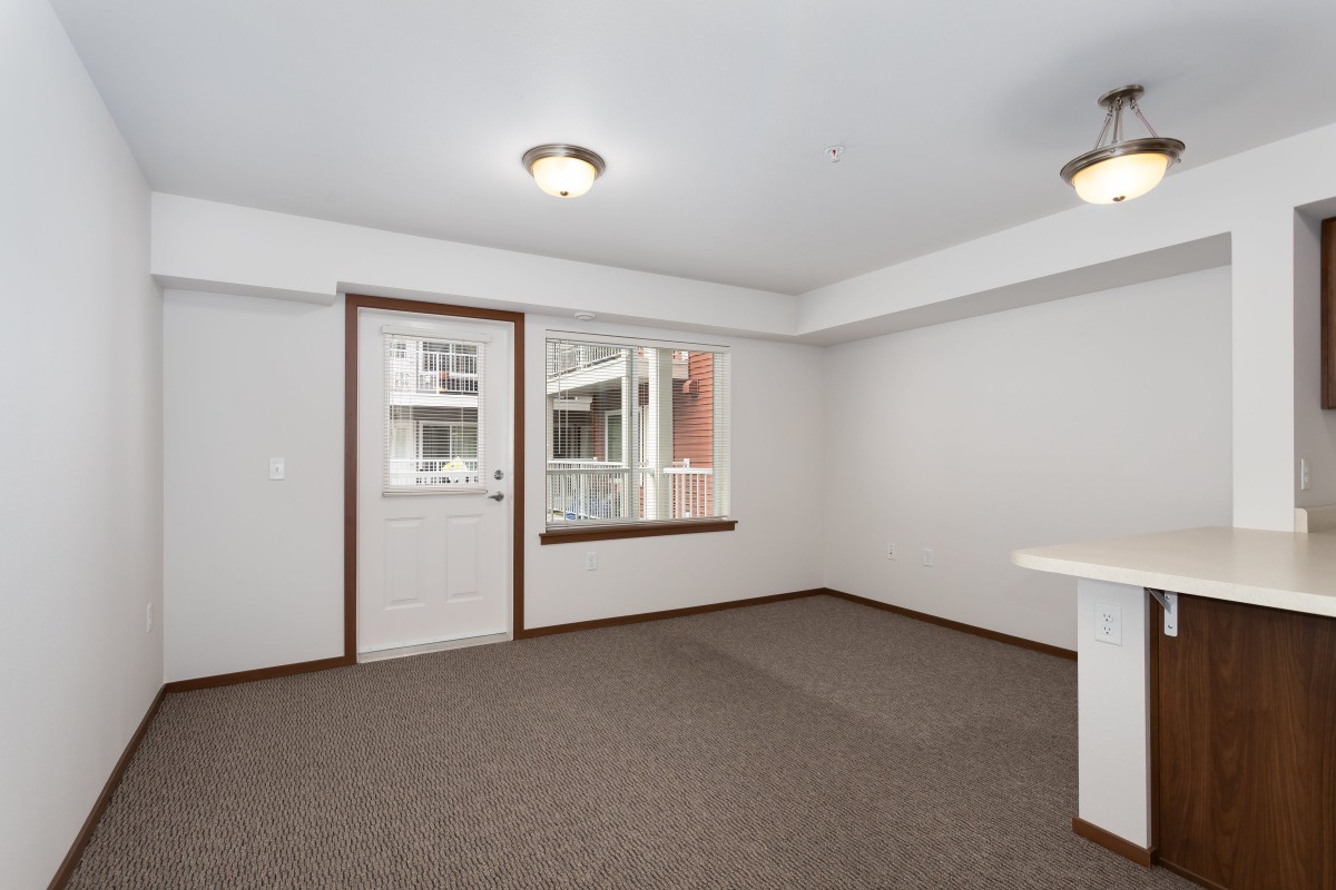 An empty apartment room with carpet flooring and multiple windows.