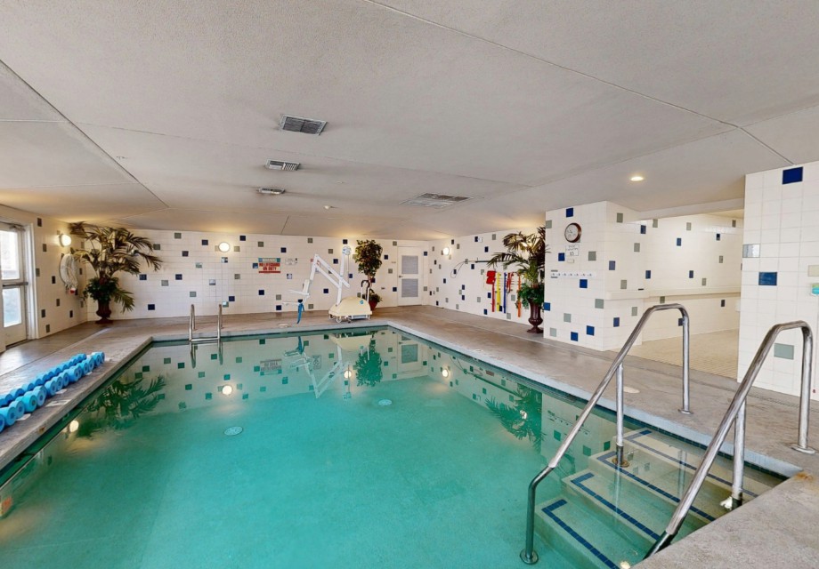 An inviting indoor swimming pool with patterned walls and poolside plants.