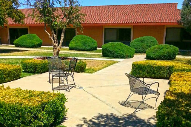 A sunny courtyard with metal chairs and well-maintained bushes.