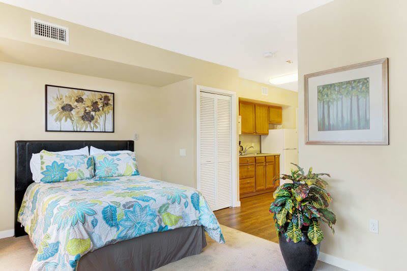 A cozy bedroom with a floral-themed bedspread, artwork on the wall, and a potted plant, leading to an open kitchenette with wooden cabinets.