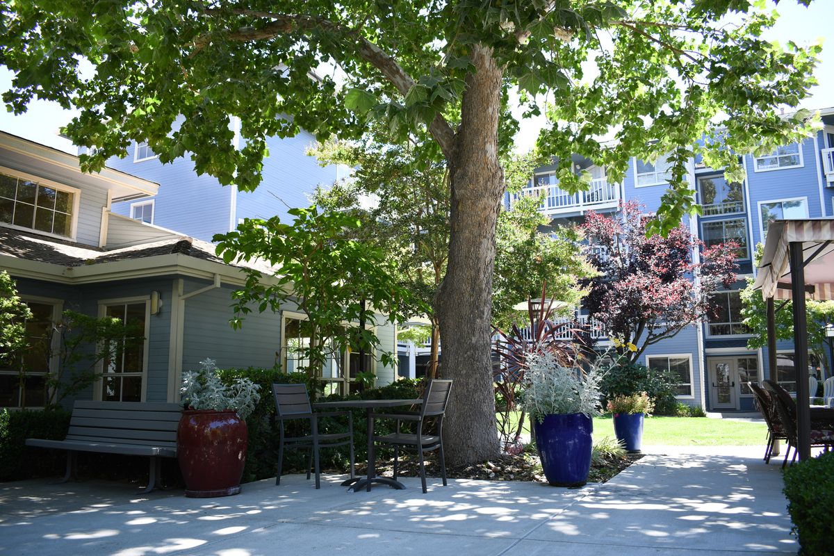 A tranquil outdoor setting with a large tree providing shade over a bench and colorful potted plants.
