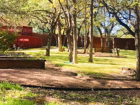 A peaceful outdoor setting with lush trees and sunlight filtering through the leaves.