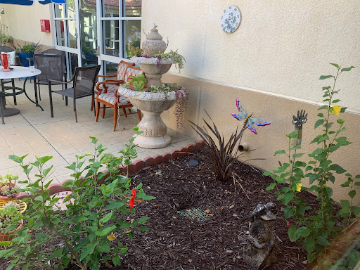 A serene garden area featuring a charming fountain and vibrant plants, perfect for relaxation.