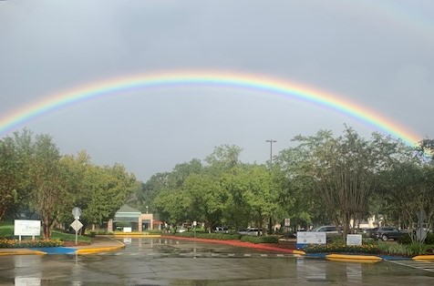 A beautiful rainbow arches over a tranquil scene after a rainfall.