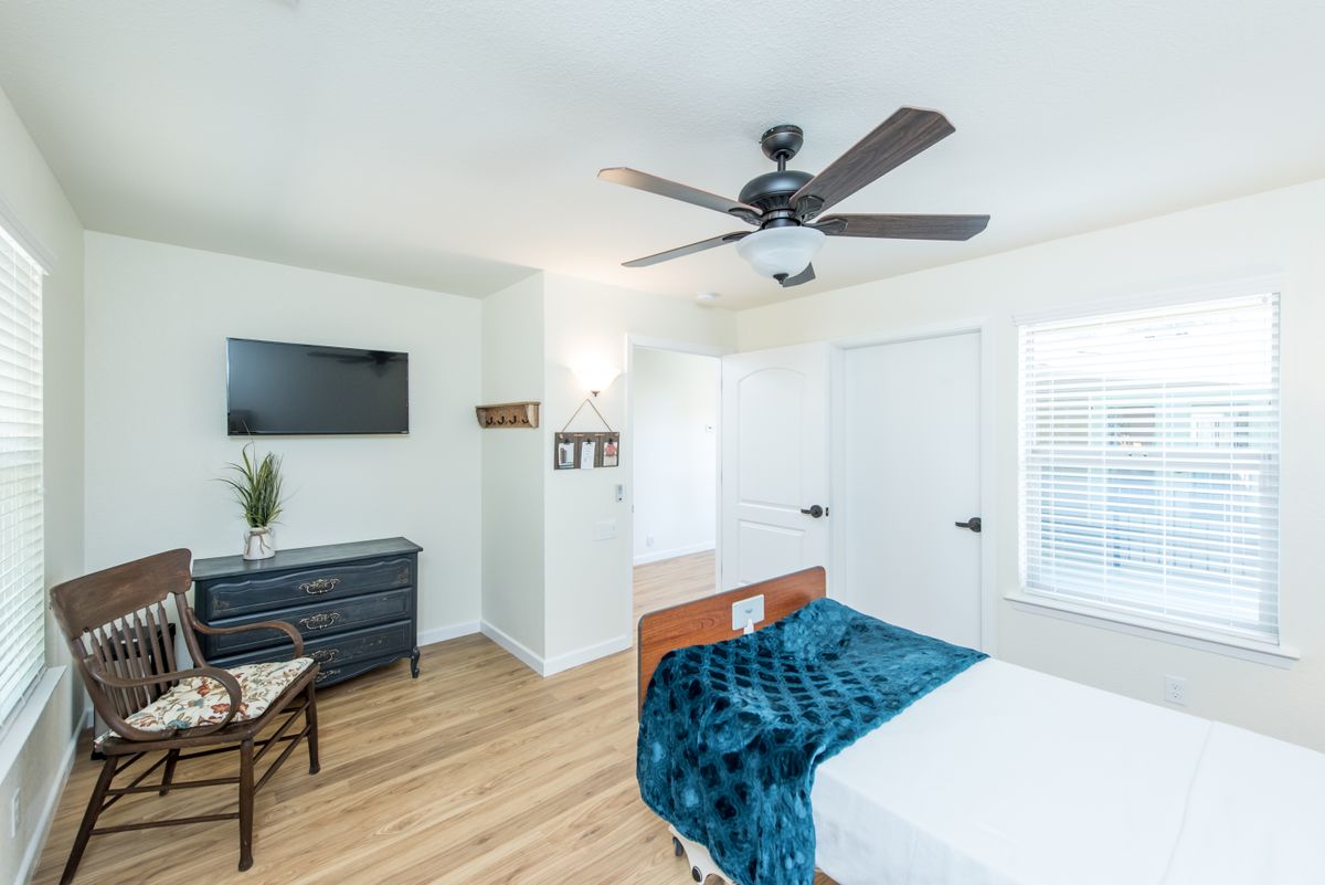 A modern bedroom with a ceiling fan, television, and stylish furnishings.