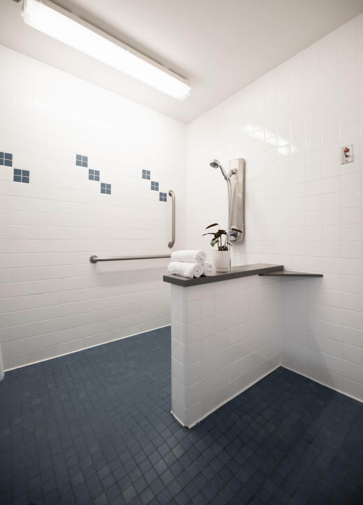 An accessible bathroom with a shower, equipped with handrails and modern tile design.