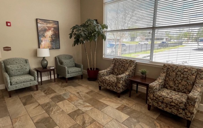 A cozy waiting room with chairs, a lamp, and a potted plant near a large window.