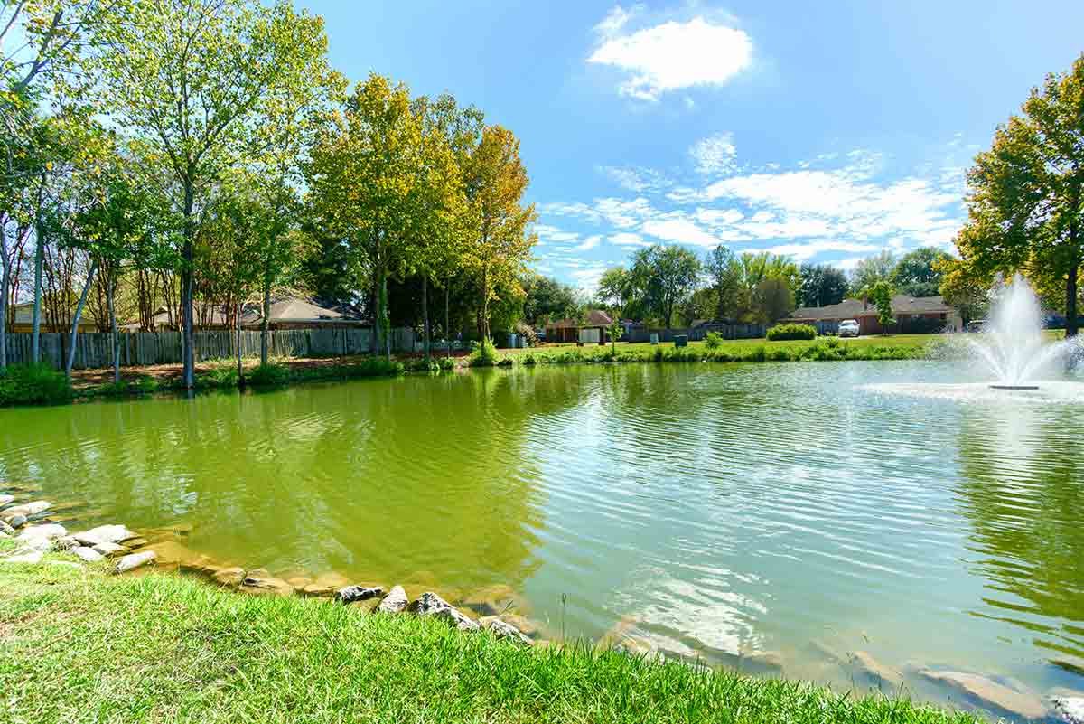 A peaceful pond surrounded by greenery and houses under a bright blue sky.