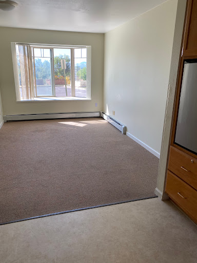 A bright and spacious empty room featuring carpet flooring and large windows.