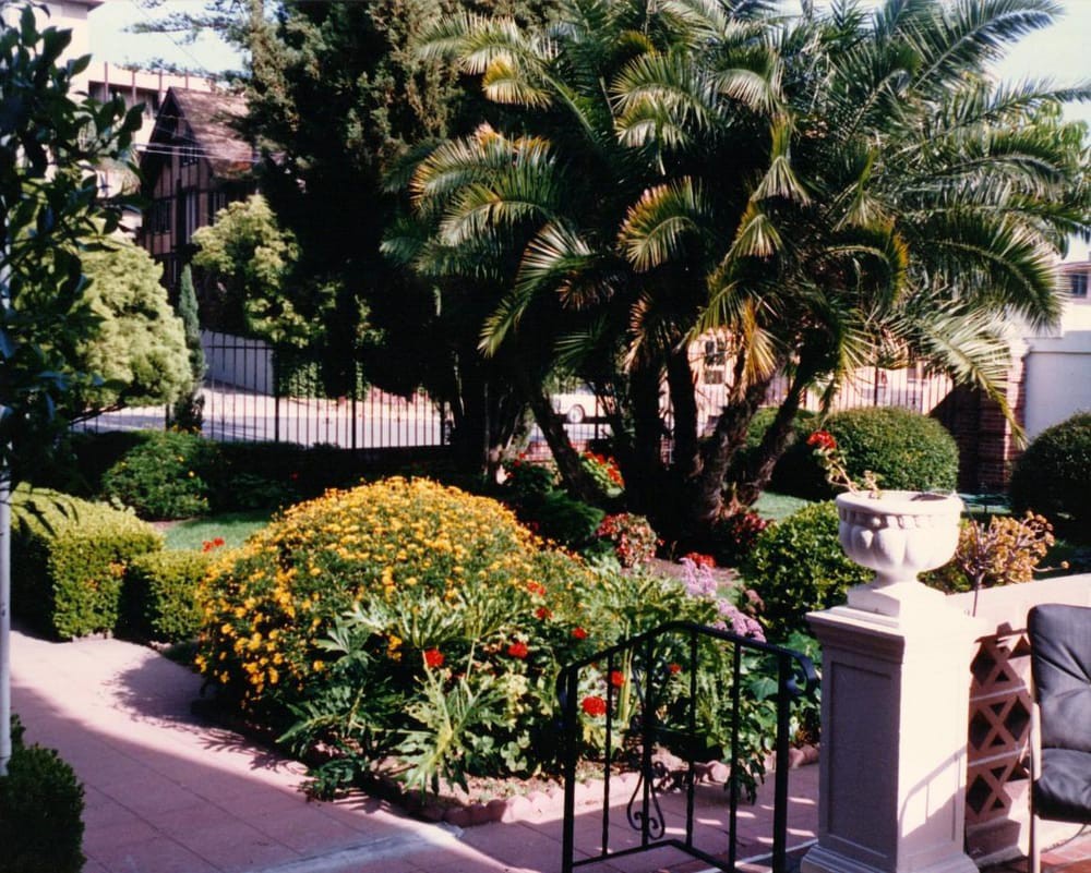 A beautifully landscaped garden with a variety of plants, including a prominent palm tree and colorful flowers.