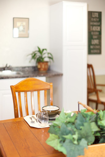 A cozy dining area featuring a simple table setting and a touch of greenery.