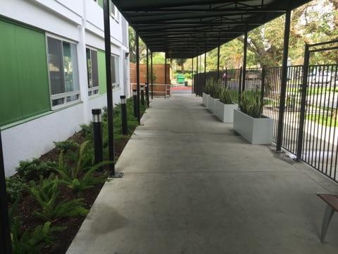 A serene walkway lined with plants, leading towards a building.