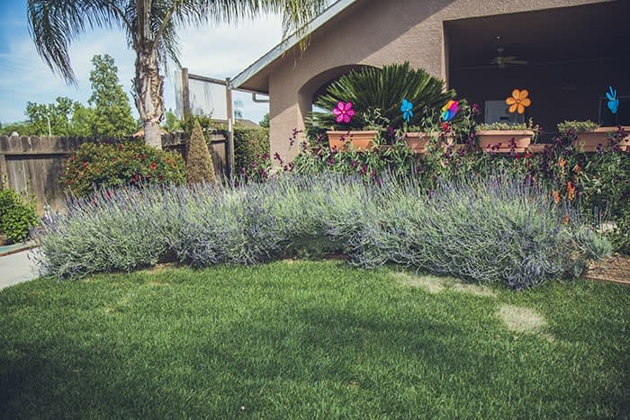 Magnolia Park Assisted Living