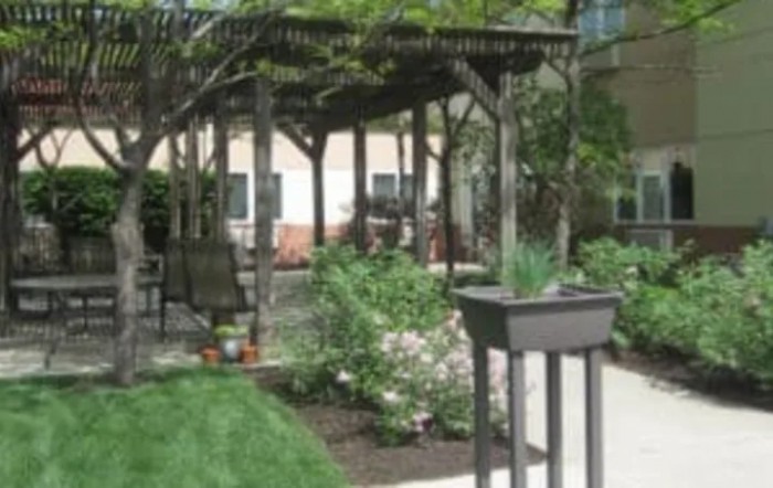 A serene garden area featuring a wooden pergola surrounded by lush plants.